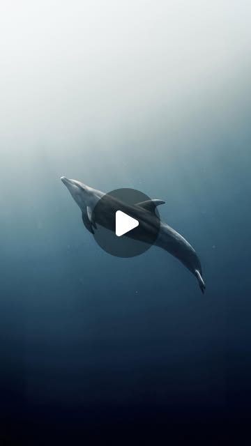 Spartivento Charter travel film by Filippo Bellisola