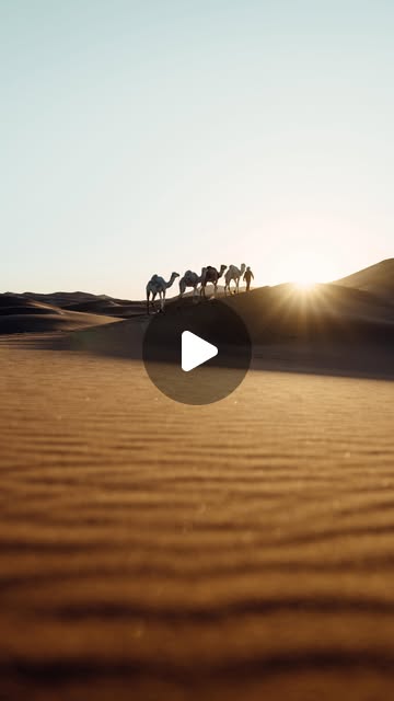 Sahara Pearl Hotel film by Filippo Bellisola