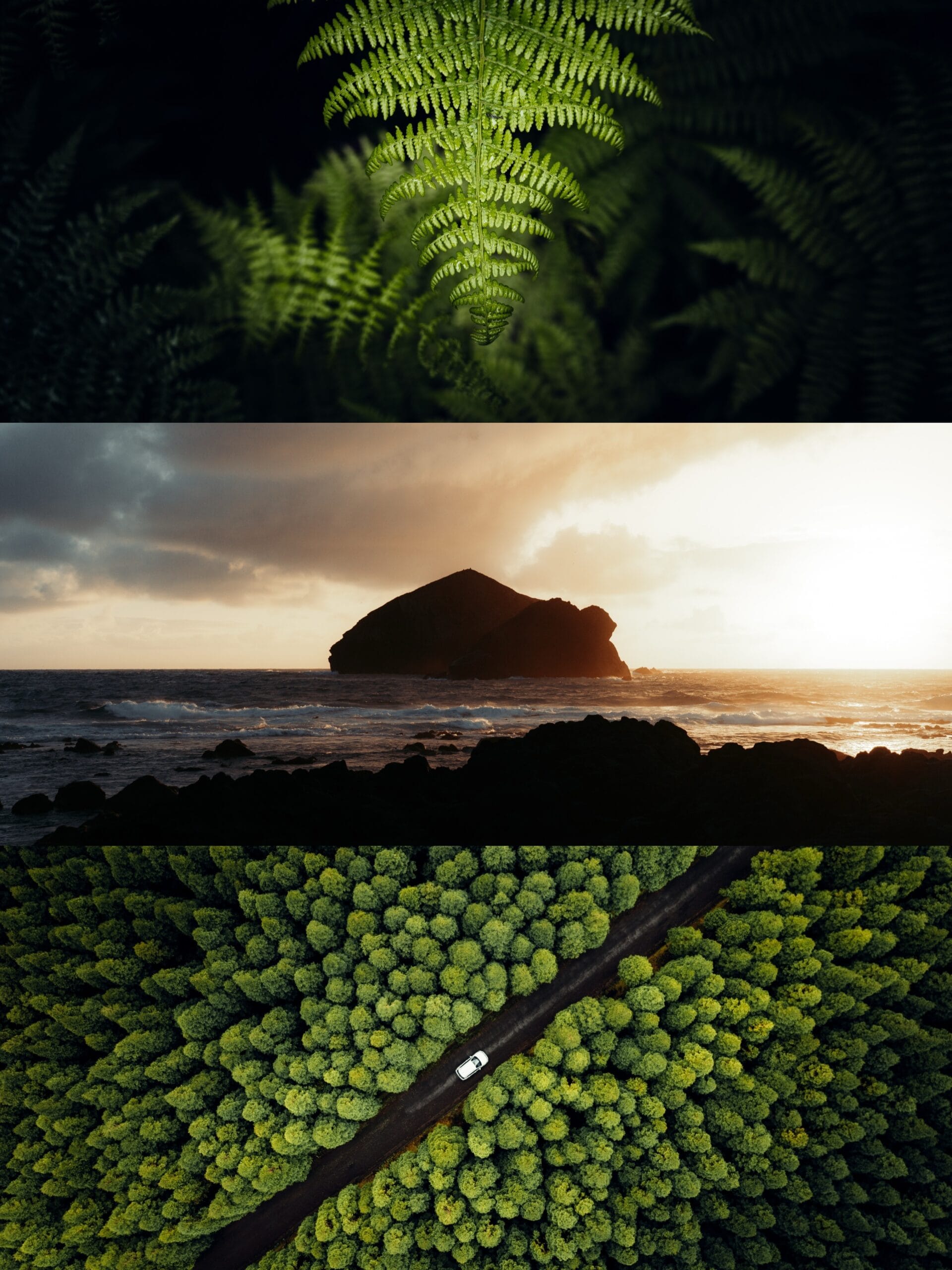 A collage of three nature scenes by travel content creator Filippo Bellisola: top—a close-up of bright green fern leaves; middle—a rocky island silhouetted by sunset; bottom—aerial view of a white car on a road through dense forest.