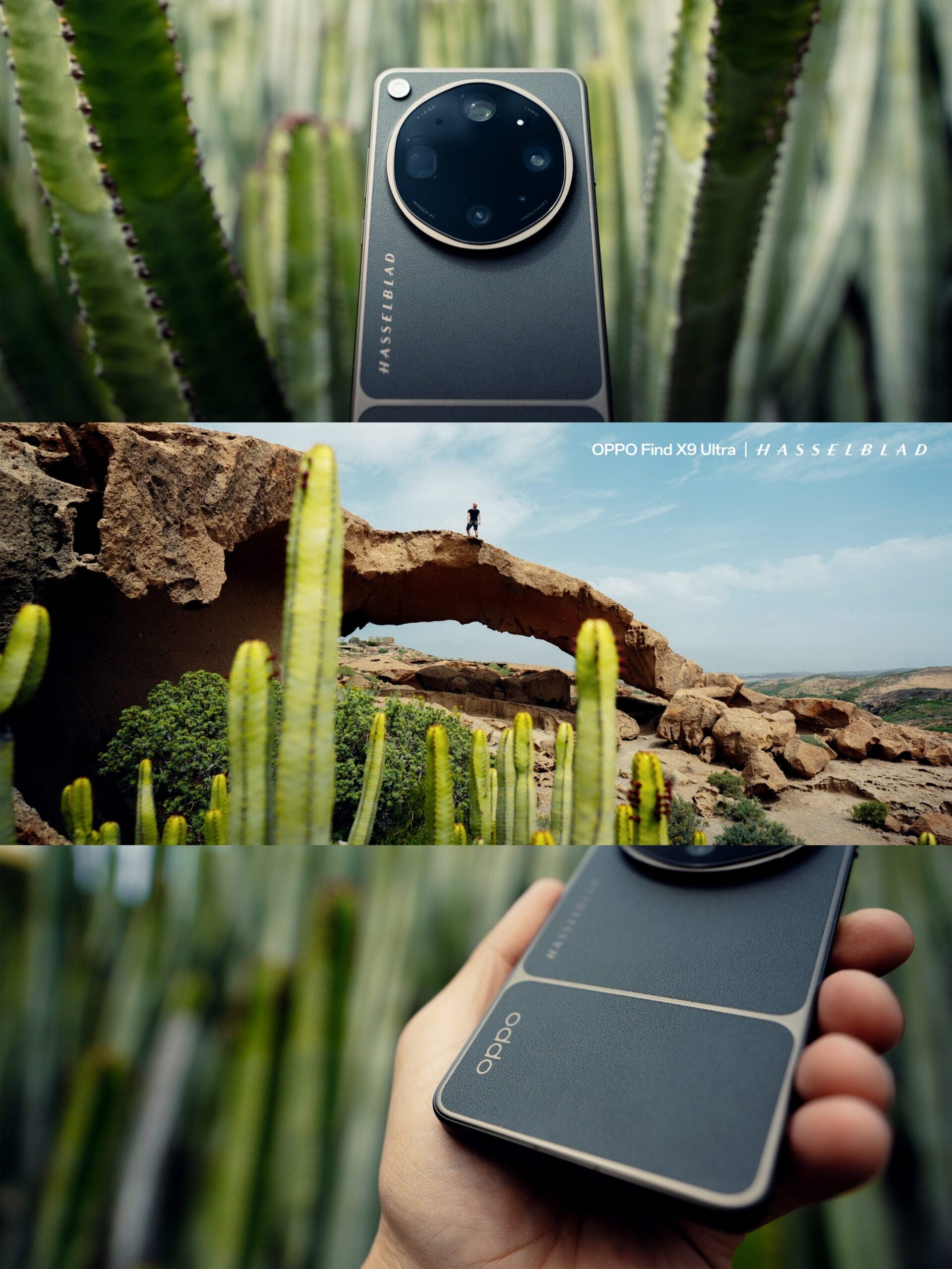 Collage featuring close-up shots of an OPPO Find X6 Ultra phone with Hasselblad branding, highlighting the collaboration between brands, shown among cacti, over a scenic desert arch, and held in a hand against a green, rocky landscape.