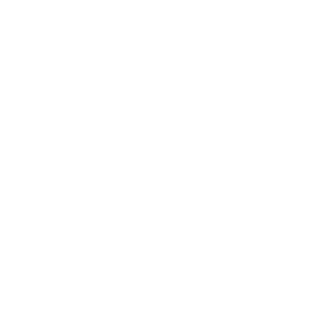 White Lamborghini logo featuring a bull inside a shield shape, with the word Lamborghini written across the top. The design is faint and appears on a light background.